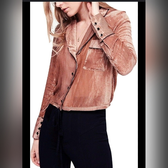 Free People Tops - Free People Aspen Nights Velvet Button Down Long Sleeve Velour Blouse